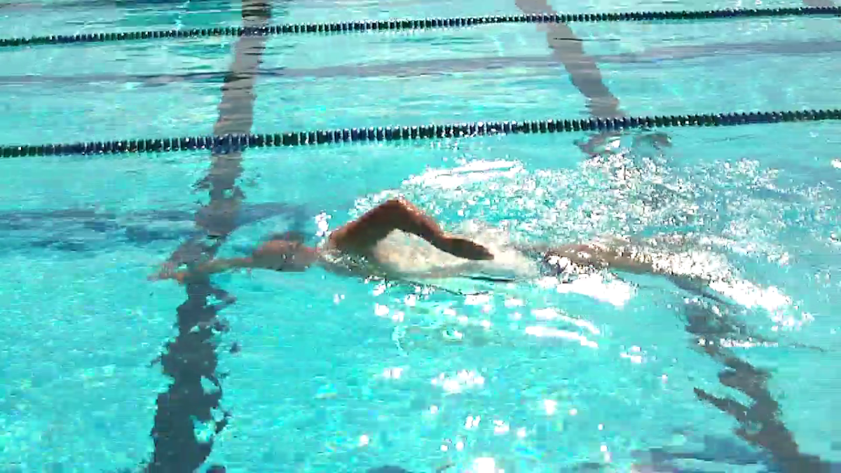 Media - Swim Better  Total Immersion Swimming in Boulder Colorado